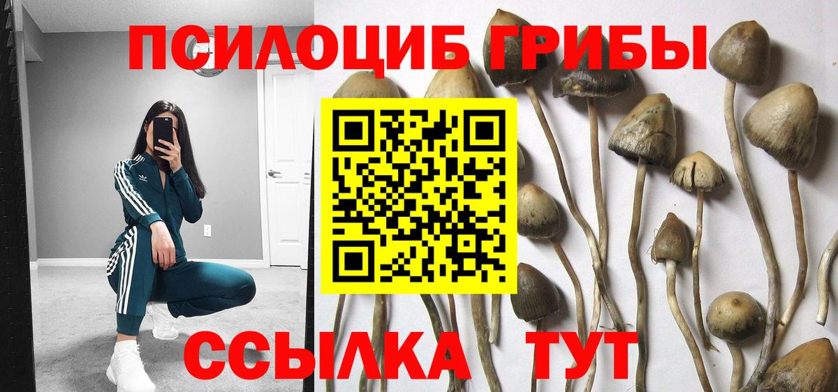 Псилоцибиновые грибы Magic Shrooms Медногорск