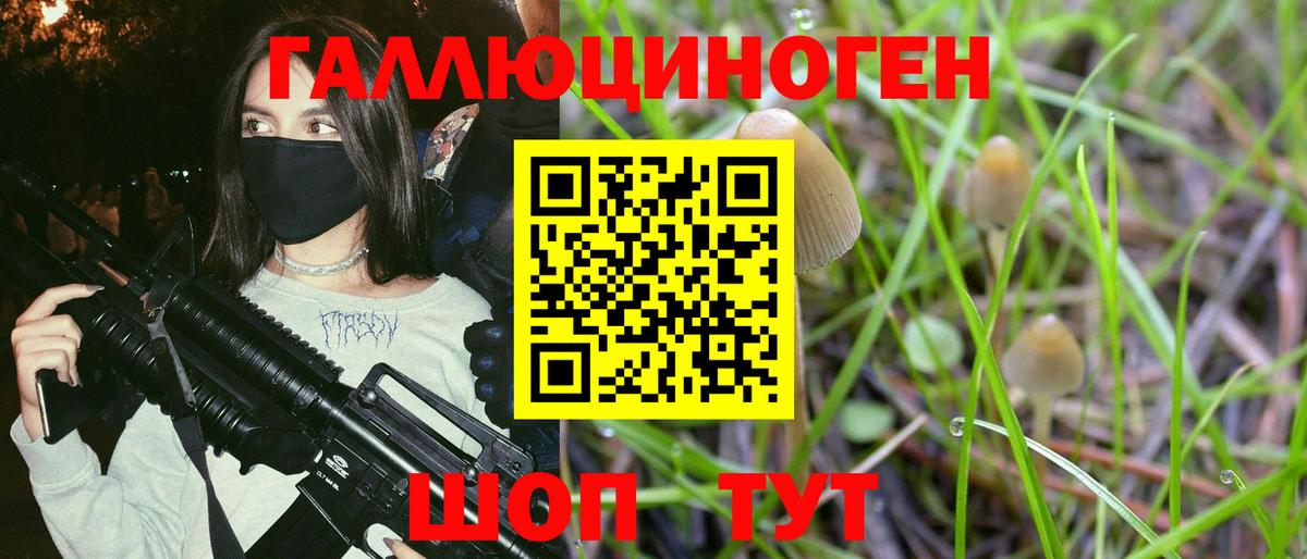 Псилоцибиновые грибы ЛСД  Псилоцибиновые грибы MAGIC MUSHROOMS  Медногорск  Вход с VPN 